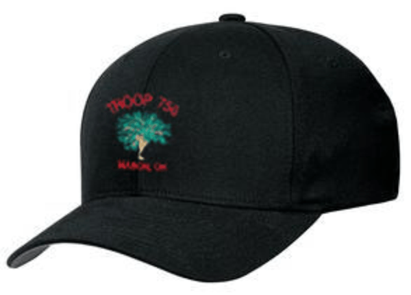 Picture of Troop 750 Baseball Hat