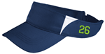 Picture of Vipers Player's Visor