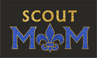 Picture for category Scout Mom