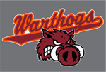 Picture of Warthog Baseball Car Decal