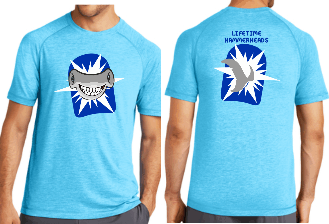 Lifetime Swim Team Kickboard TriBlend TShirt Friday Threads