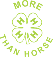 Picture for category 4-H More Than Horse