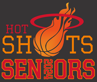 Picture for category Hot Shots Basketball