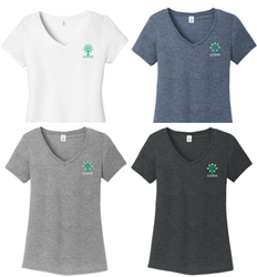 Picture of SPC Ladies V Neck T