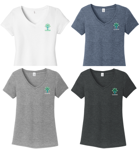 Picture of SPC Ladies V Neck T