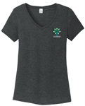 Picture of SPC Ladies V Neck T
