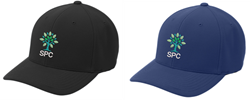 Picture of SPC Port Cap
