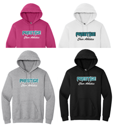 Picture of PCA GLITTER Hoodie