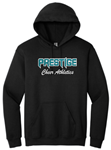 Picture of PCA GLITTER Hoodie