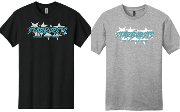 Picture of PCA Team Starbursts Shirts